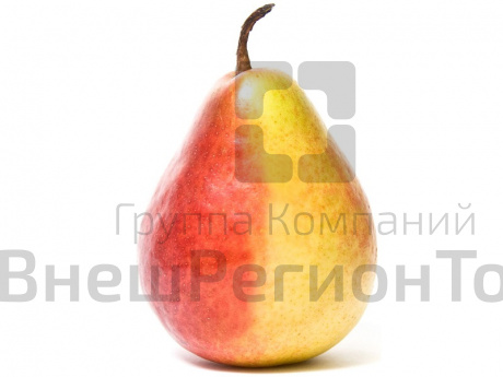 Муляж Груша Дюшес.