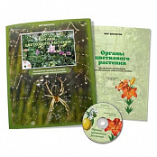 Электронное наглядное пособие "Органы цветкового растения"