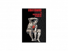 DVD Компакт-диск "Анатомия -1"