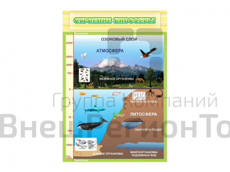 Стенд Строение биосферы.