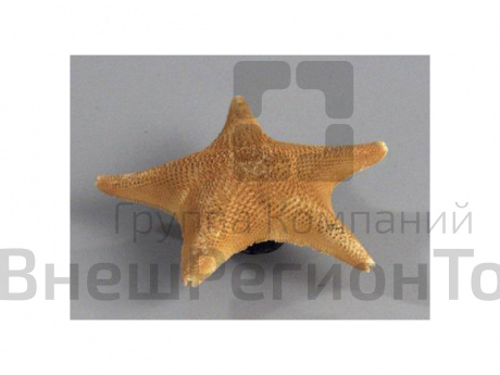 Препарат "Морская звезда".