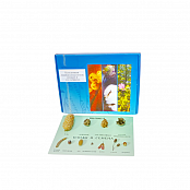 Комплект "Комплект коллекций демонстрационный"