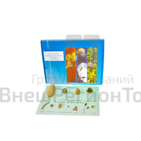 Комплект "Комплект коллекций демонстрационный".