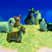 Тумба для интерактивной песочницы "Островок" на колёсиках