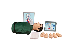 Тренажер Максим III (торс) сердечно-легочной и мозговой реанимации
