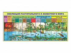 Стенд Эволюция растительного и животного мира