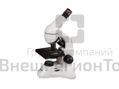 Микроскоп цифровой  Levenhuk Rainbow D50L PLUS, цвет - лунный камень.