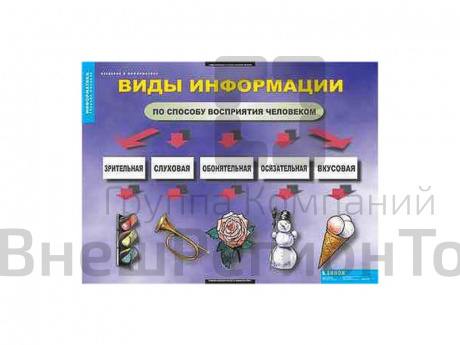 Таблицы демонстрационные "Введение в информатику".