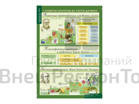 Набор таблиц "Биология 10-11 классы. Эволюционное учение" 10 шт..