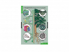 Таблицы демонстрационные "Растение - живой организм"