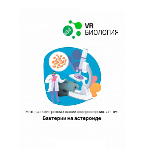 Бактерии на астероиде — цифровой квест для биологии