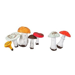 Набор муляжей грибов — съедобные и ядовитые