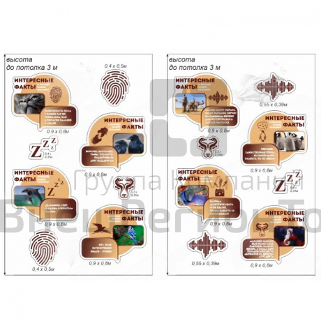 Комплект стендов для кабинета биологии "Интересные факты о животных".