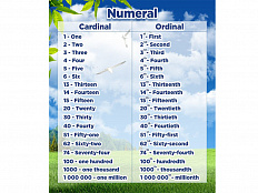 Стенд Английский язык. Числительные