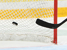 Сетка для хоккея, 2 шт.