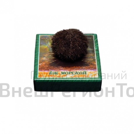 Сухой препарат "Еж морской".