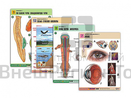 Таблицы по всему курсу биологии 120 шт..