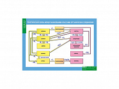Генетическая связь между важнейшими классами органических соединений