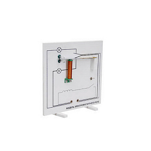 Модель электромагнитного реле (дем.)