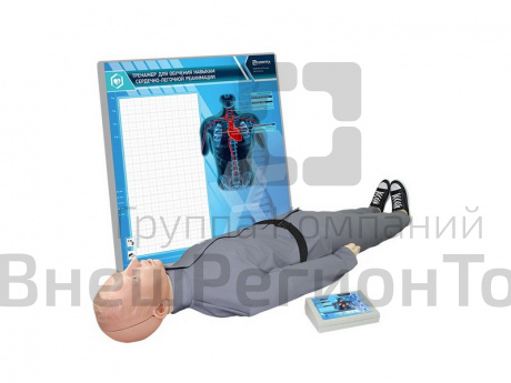 Тренажер-манекен пострадавшего для отработки приемов сердечно-легочной реанимации Александр 8.