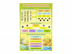 Стенд Классификация животного мира