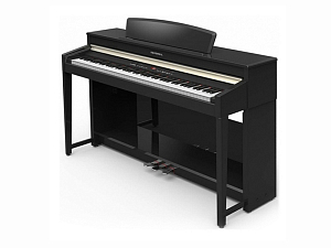 Цифровое пианино Курцвейл Анданте Kurzweil Andante CUP110 BP