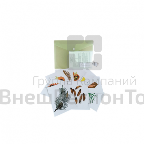 Комплект моделей-аппликаций по ботанике.