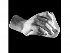 Гипсовая модель Кисть человека