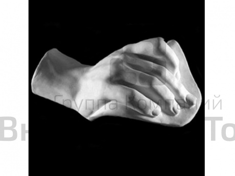 Гипсовая модель Кисть человека.