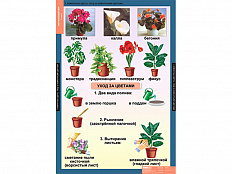 Таблицы "Окружающий мир 1 класс"