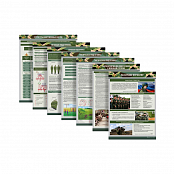 Комплект демонстрационных учебных таблиц по ОБЗР