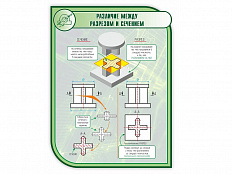 Стенд РАЗЛИЧИЕ МЕЖДУ РАЗРЕЗОМ И СЕЧЕНИЕМ 1*0,75м (скругл.углы)