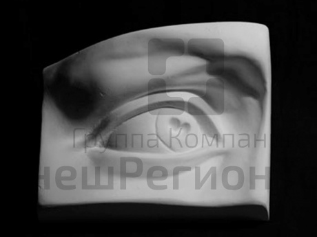 Гипсовая модель Глаз человека правый.