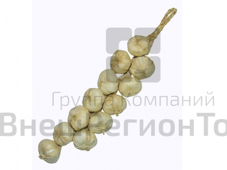 Муляжи Связка чеснока.