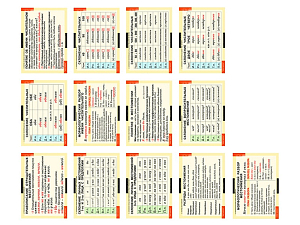 Русский язык. Числительное и местоимение (таблицы 14 шт. 68х98 см)