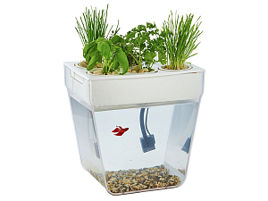 Набор для выращивания растений и ухода за рыбкой Акваферма