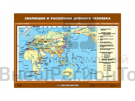 Учебная карта "Эволюция и расселение древнего человека".