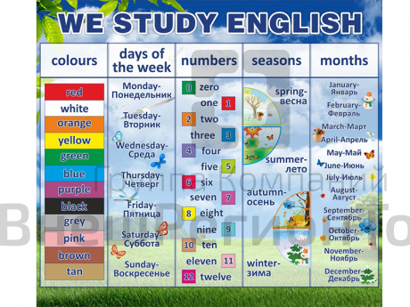 Стенд Английский язык. We study english.