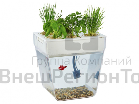 Набор для выращивания растений и ухода за рыбкой Акваферма.
