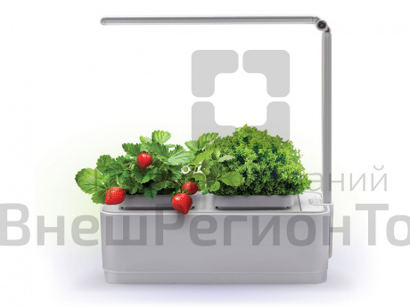 Смарт-сад iGarden на основе гидропоники с LED подсветкой .
