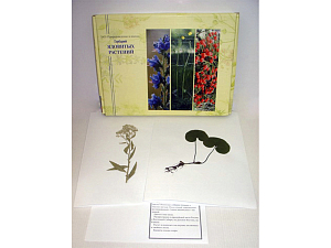Гербарий «Ядовитые растения» (школьный)