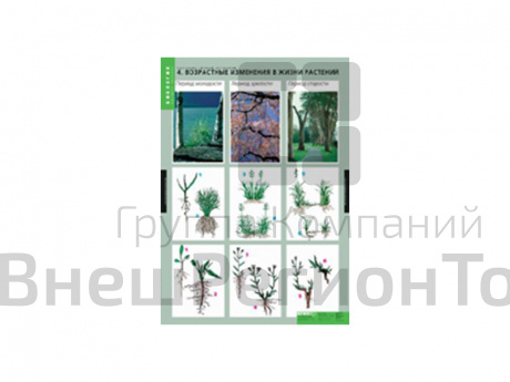 Таблицы "Растение - живой организм" 4 шт..