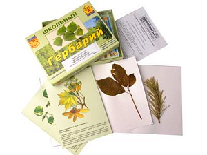 Гербарий «Жизненные формы цветковых растений» (раздаточный)