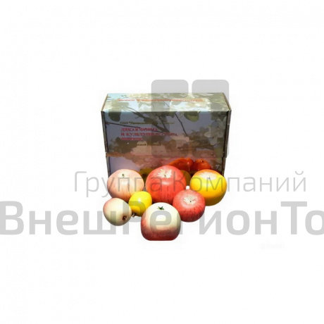 Набор муляжей Дикая форма и культурные сорта яблок.