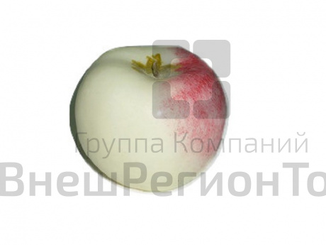 Муляж Яблоко Ранет.