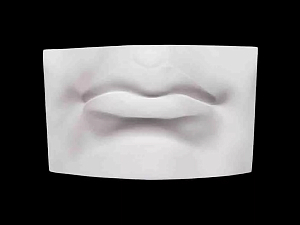 Гипсовая модель губ человека, увеличенная
