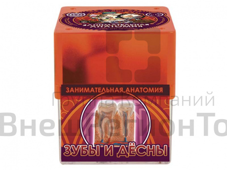 Набор Профессор Эйн: Зубы и десна.