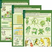 Комплект таблиц "Биология 10-11 класс Эволюционное учение" (10 шт)