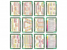 Литература 6 класс (таблицы 12 шт. 68х98 см)