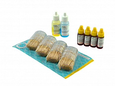 Комплект дополнительный Генетика типов крови (имитация)